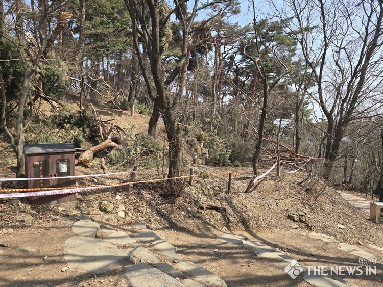 남한산성 정상 부려진 나무가지 때문에 휴식 공간을 사용못함