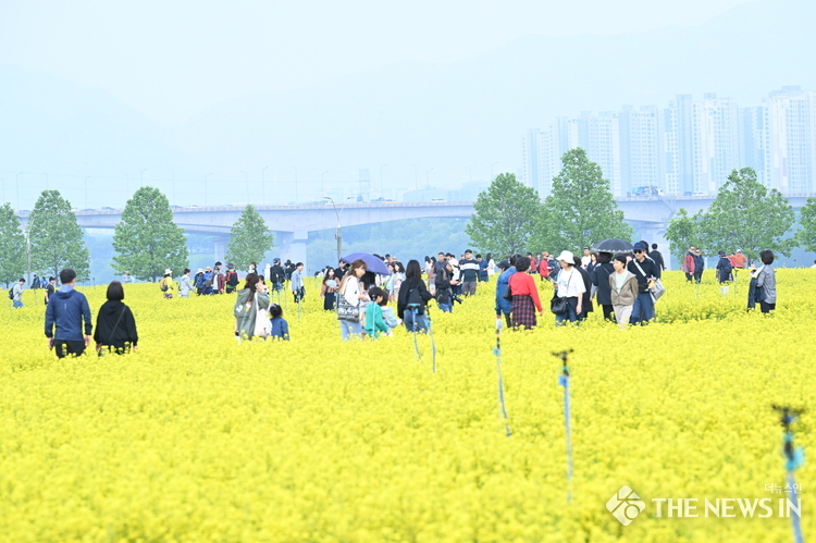 노란 물결의 감동, 2025 구리 유채꽃 축제 성료