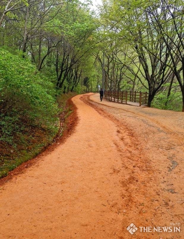 계족산 황토길