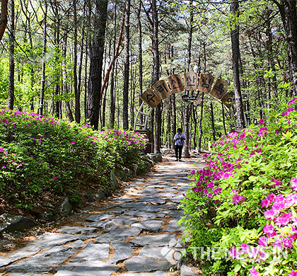 군포시의 수리산 산림욕장