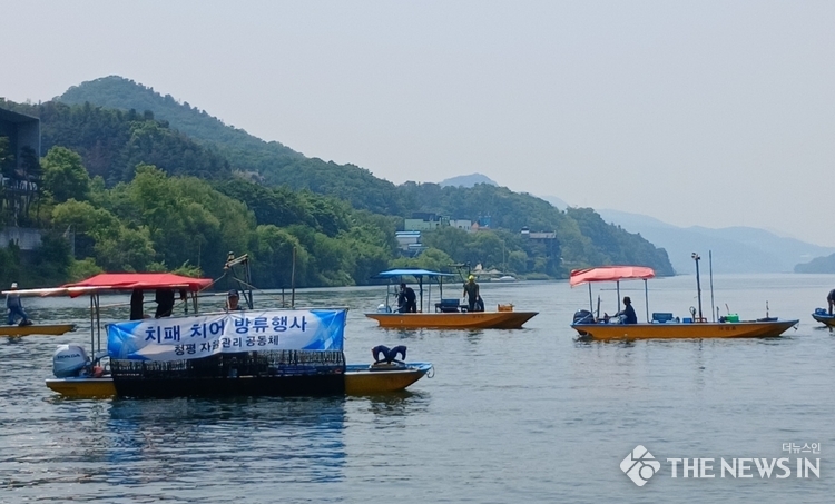 가평군, 내수면 수산자원 방류사업 지속 추진