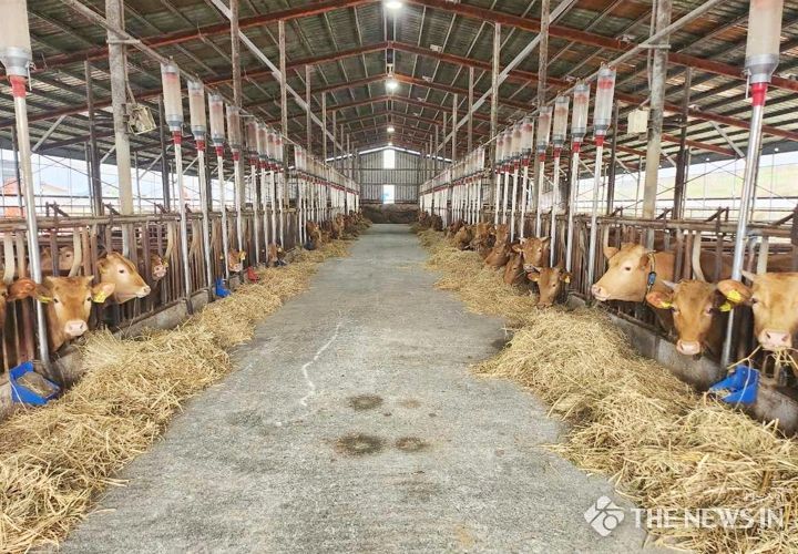 정읍시, 역량 있는 청년 창업가 발굴...최대 1500만원 지원