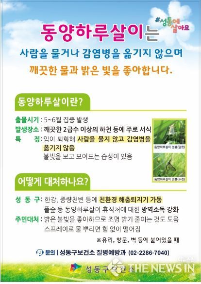 동양하루살이 주민 대처 요령