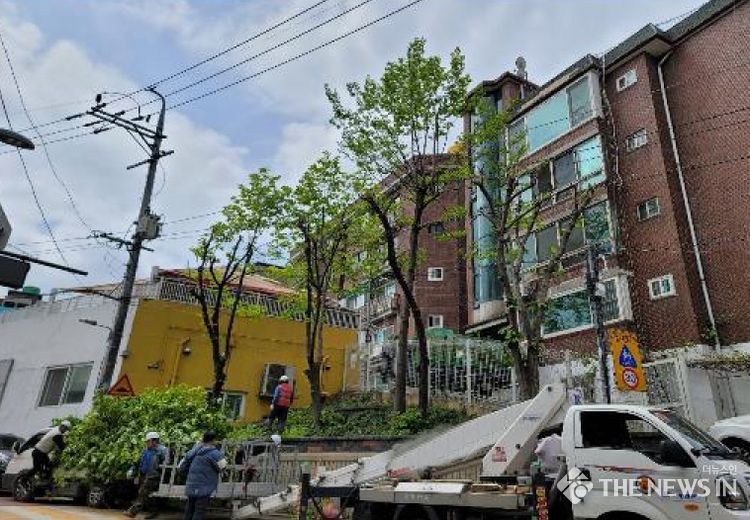 위험수목 처리 현장사진